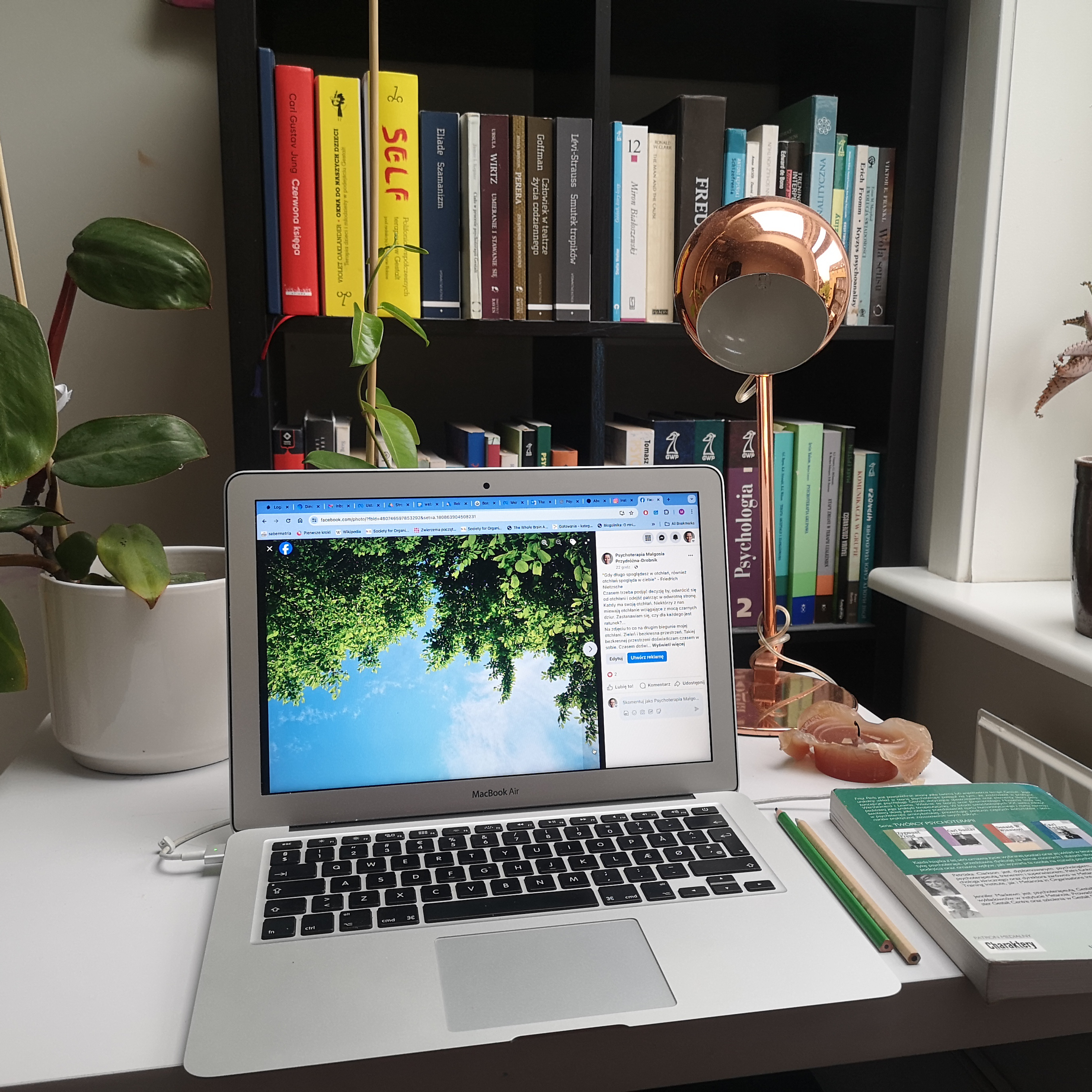 Psychoterapia online do godz. 15.00