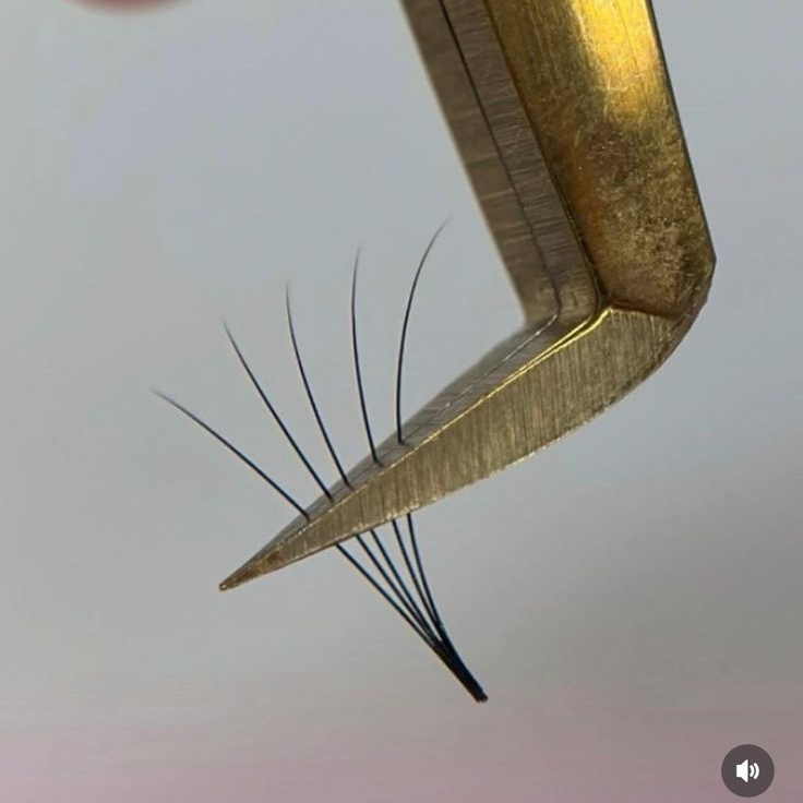 Doplnění řas po jiném studiu