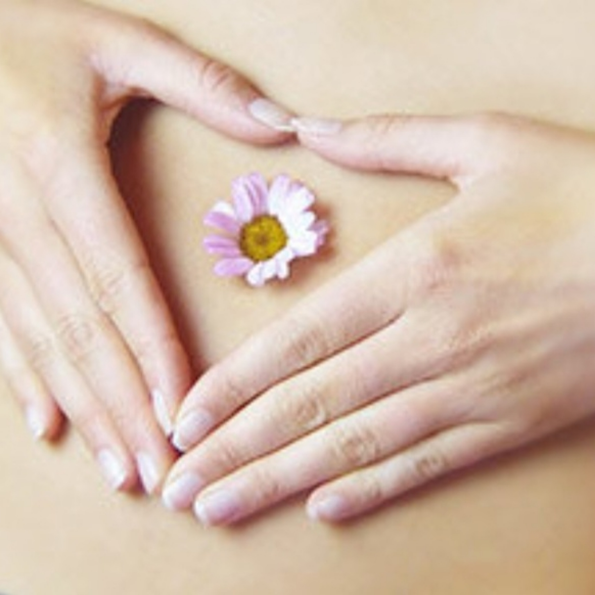 L'harmonie Émotionnelle ( massage ventre)