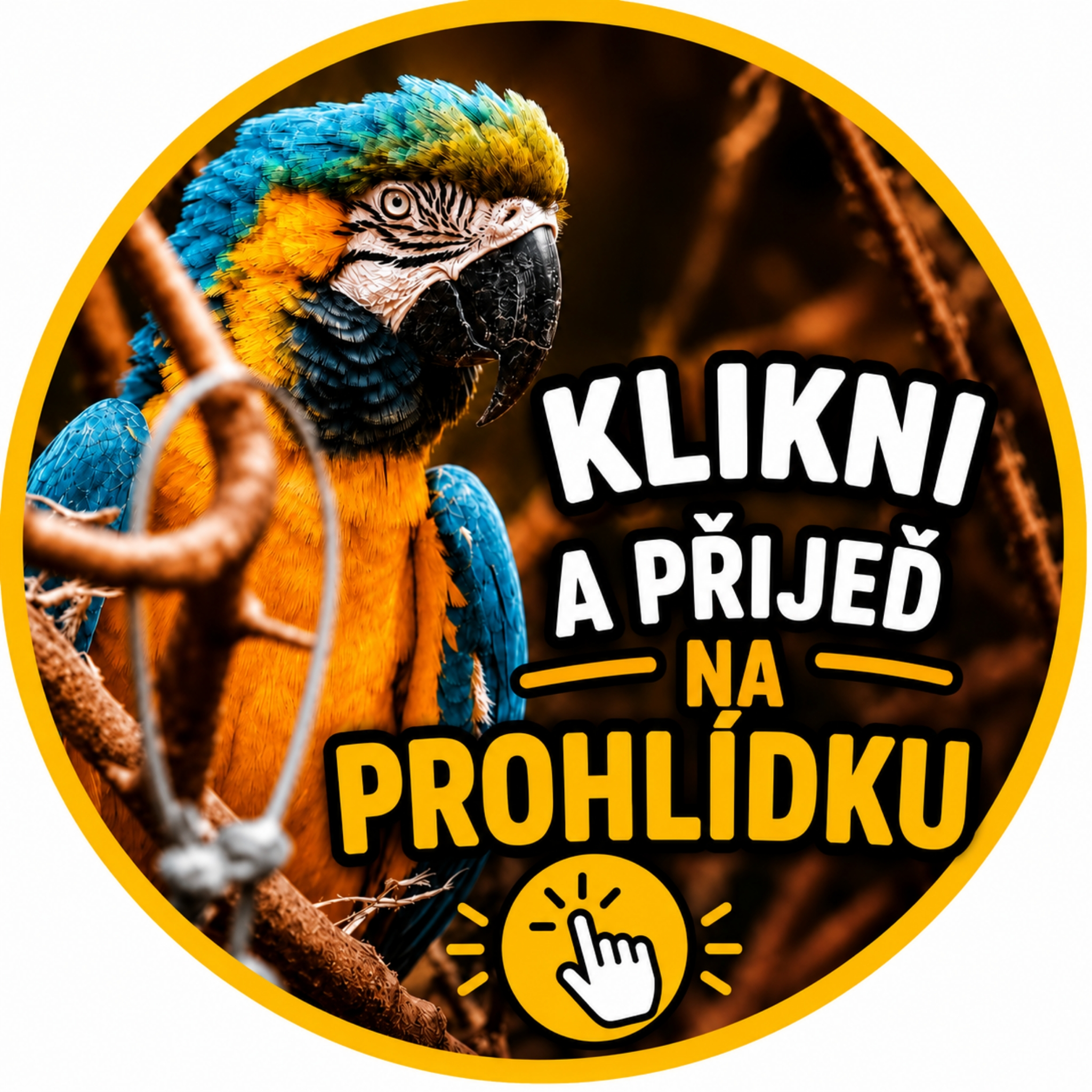 PŘIJEĎ NA PROHLÍDKU