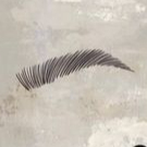 Restruction des sourcils