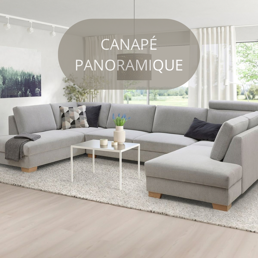 CANAPÉ PANORAMIQUE (INJECTION/EXTRACTION)