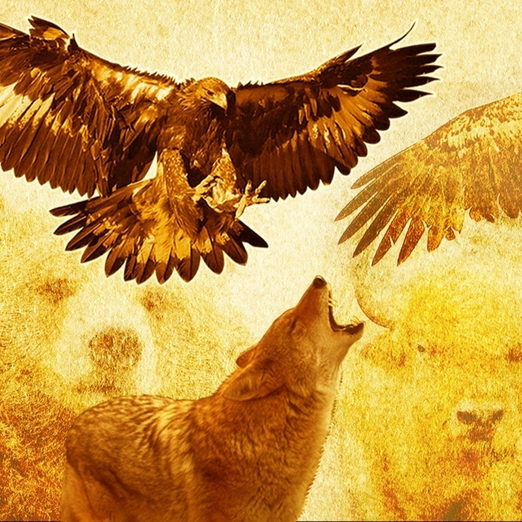 Cura Xamânica Estrelar ( Reiki Xamânico)