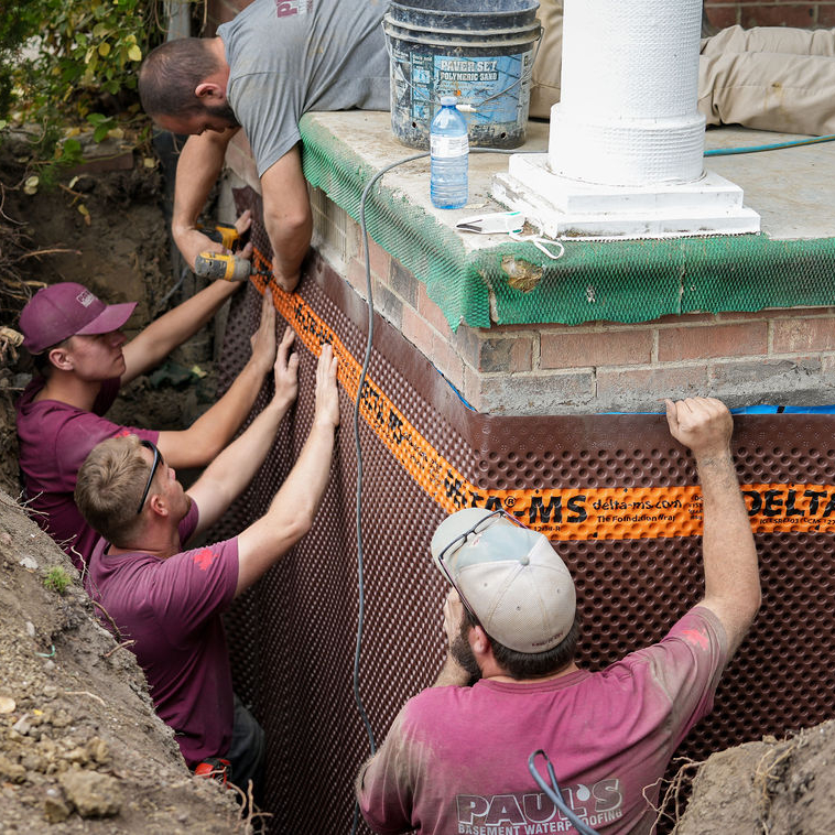 Crawlspace Encapsulation Windsor