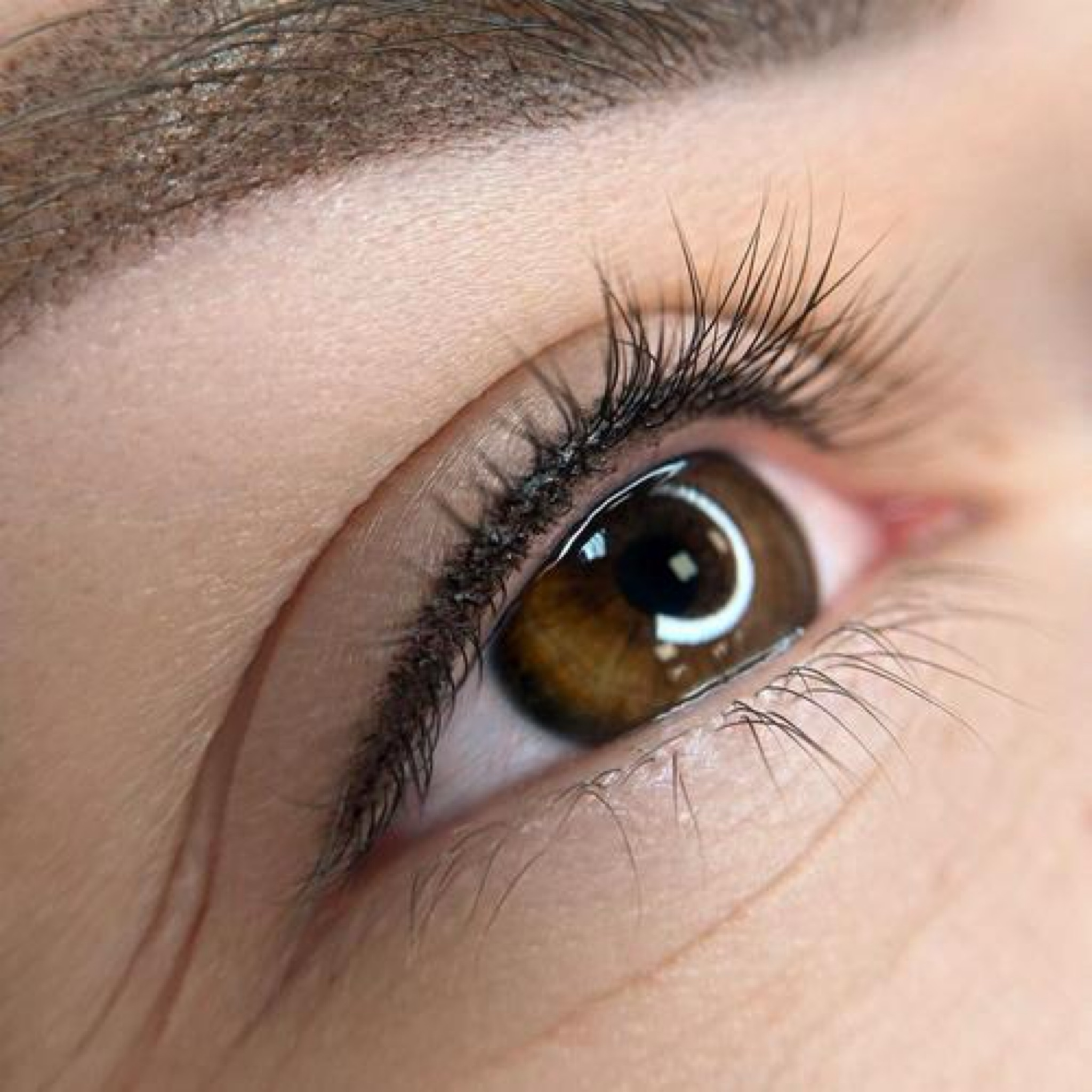 Tetovanie očných liniek (horná medziriasová)