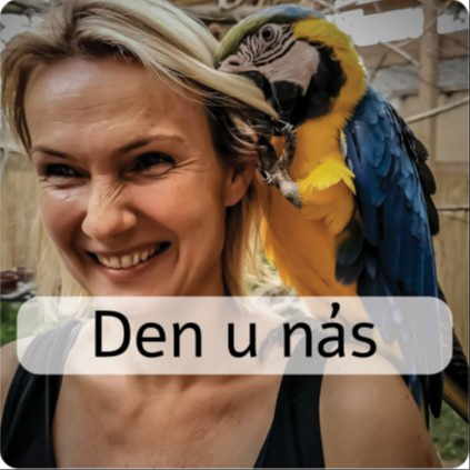 DEN V PTAČÍM DOMĚ