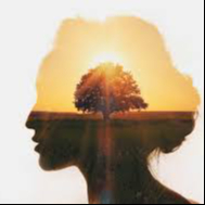 Sophrologie - séance découverte