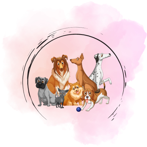 Socializační procházka