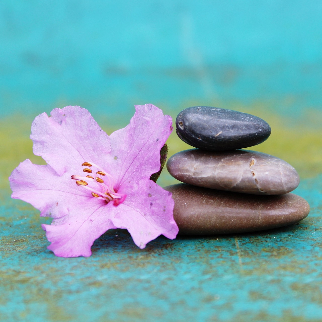 REFLEXOLOGIE PLANTAIRE + AURICULOTHERAPIE