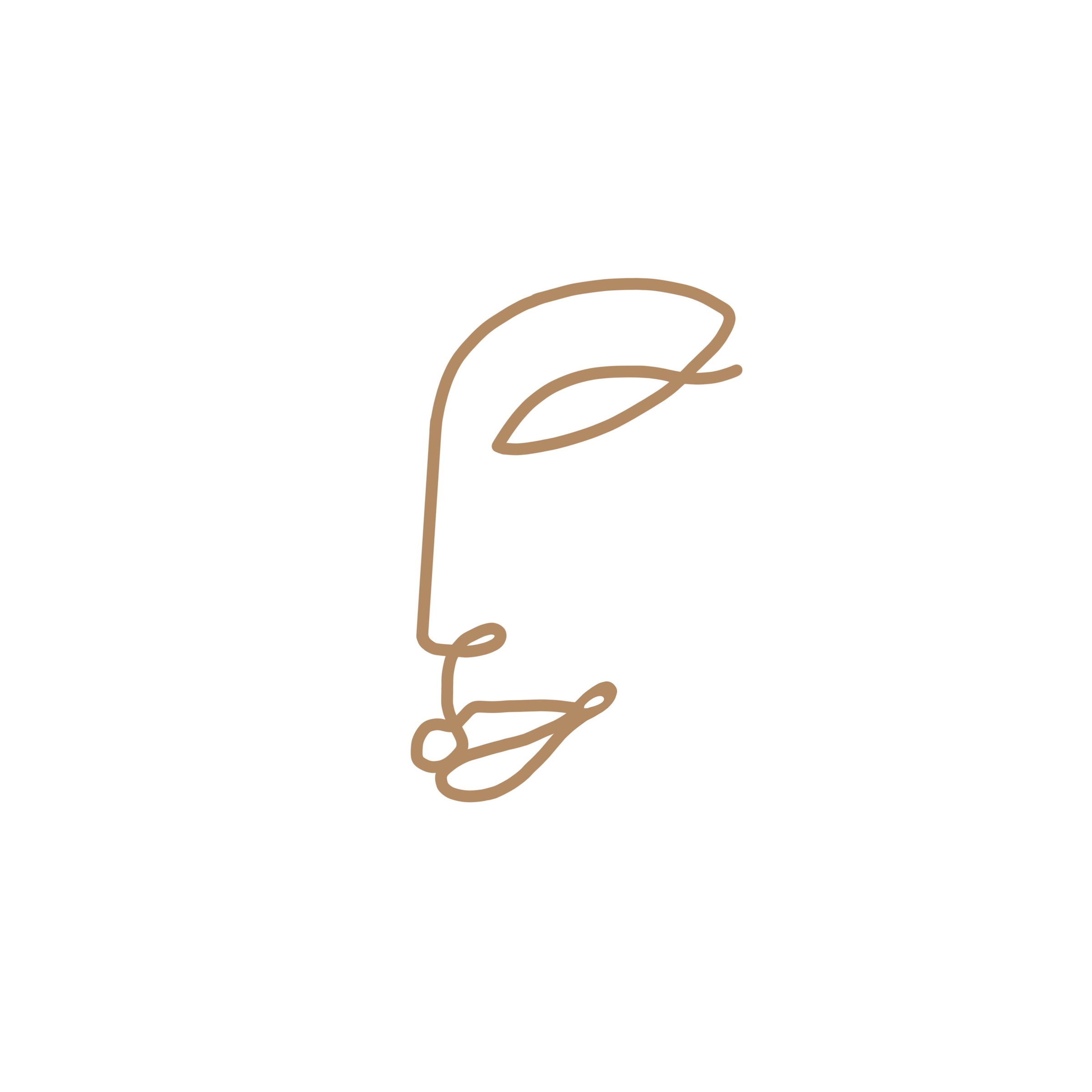 Touch up Microblading & Powderbrows