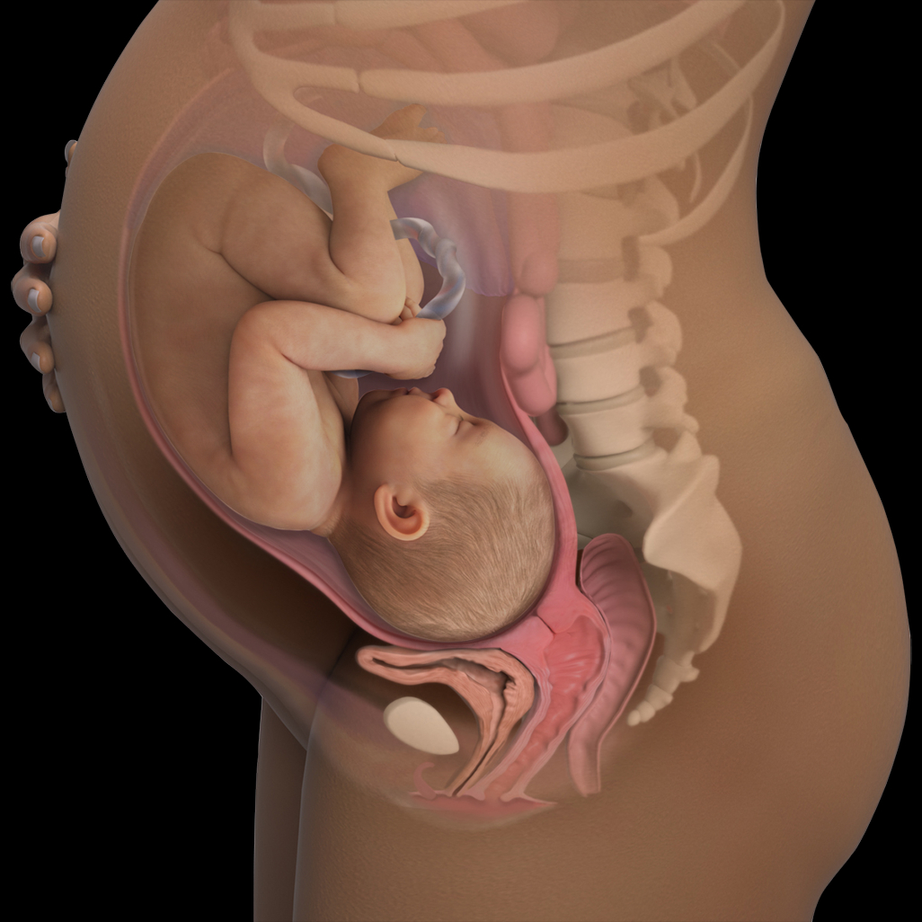 Urogynekologická fyzioterapia
