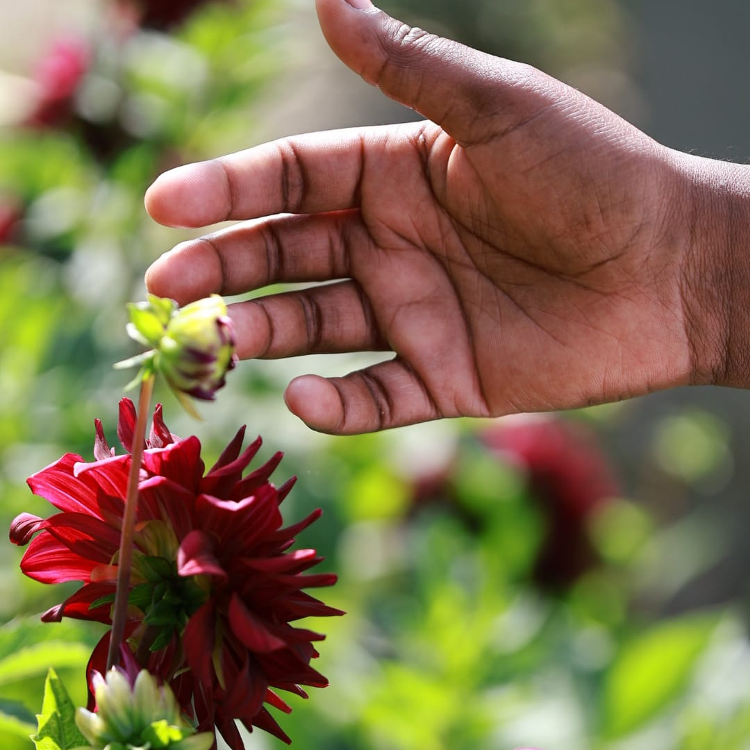 Accompagnement Bien-Être (Equilibre global) 1h30
