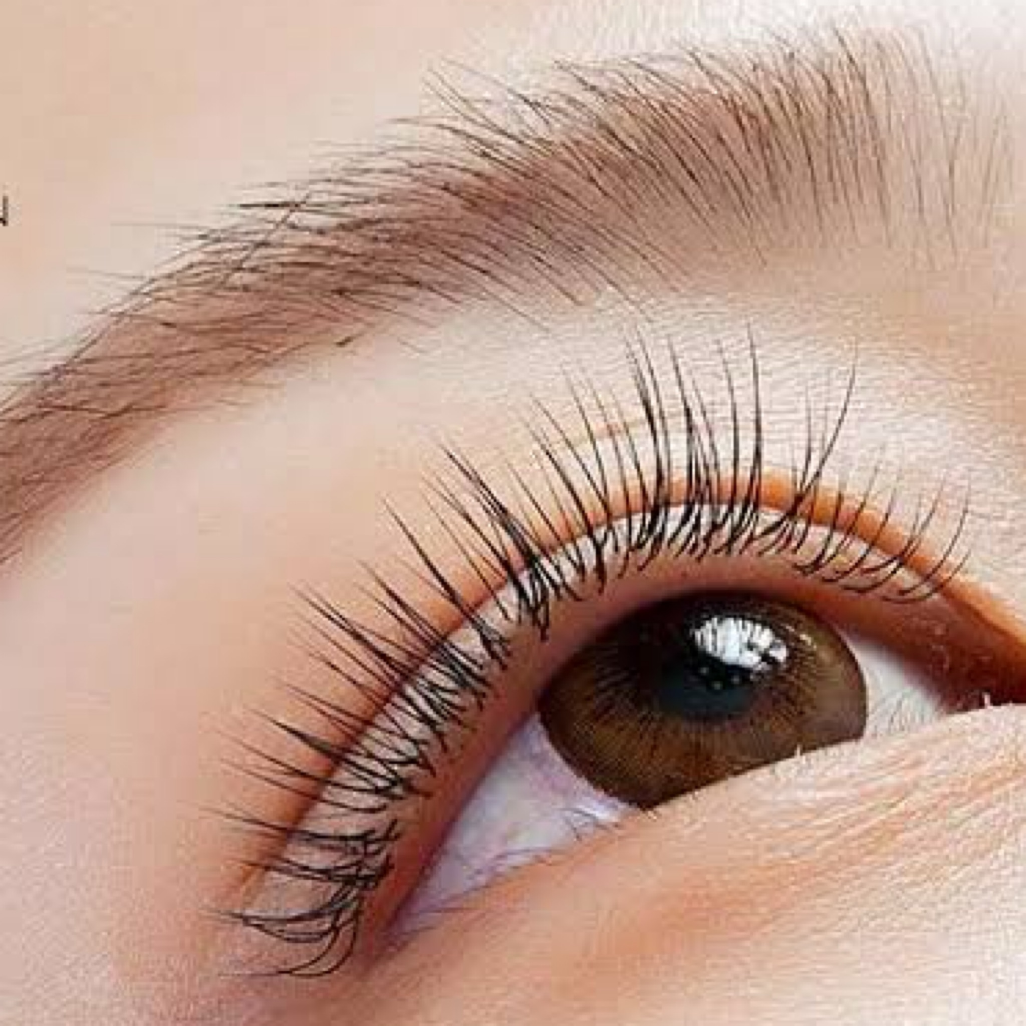 Barvení a úprava obočí • Eyebrow dyeing & shaping