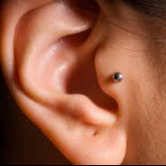 Tragus