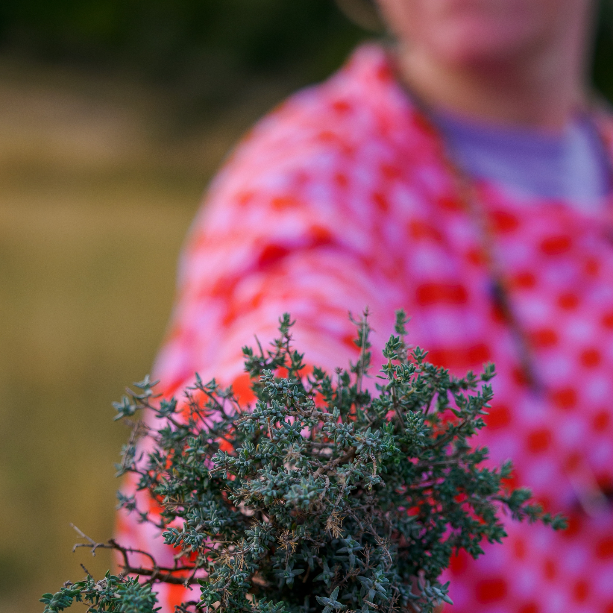 Pack naturopathie 3 mois (1er bilan vital inclus) au cabinet