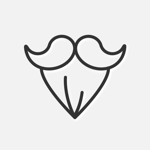 Úprava vousů/Beard Trim