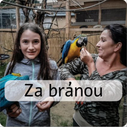 ZA BRÁNOU