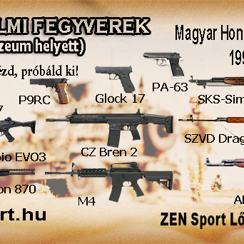 A Magyar Honvédség fegyverei