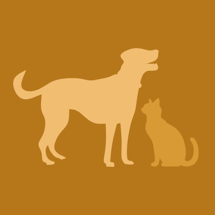 Chien/Chat - Ostéopathie au cabinet