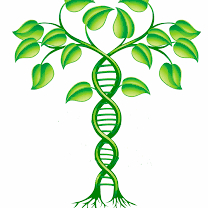 Consultation de Naturopathie suivi