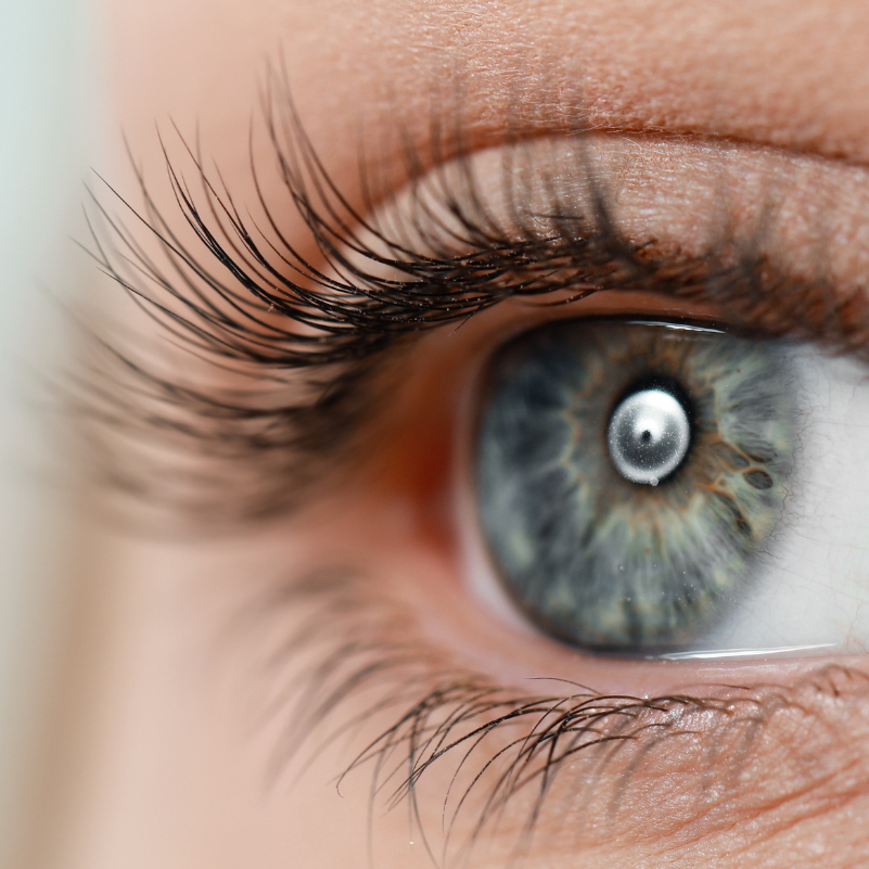 LashTouch – Barvení řas s intenzivní výživou