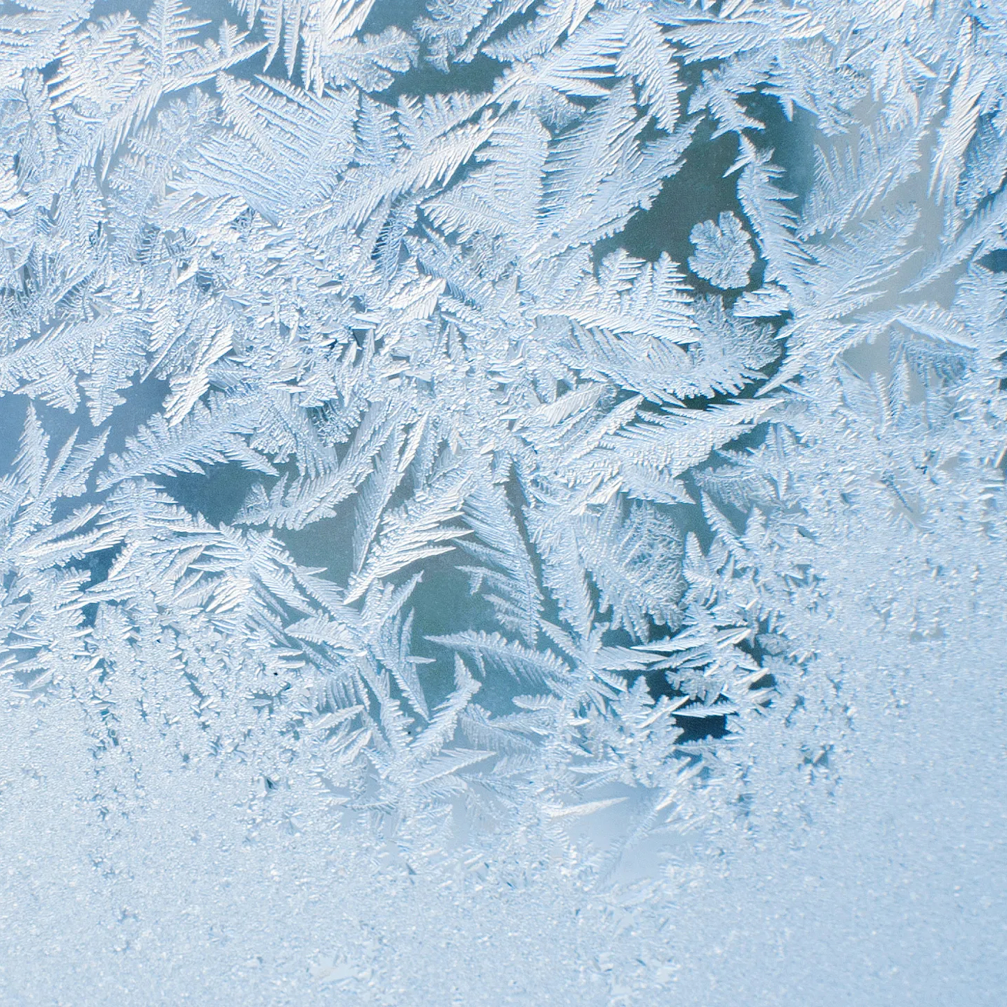 Cryotherapy Consultation