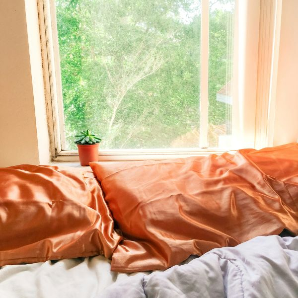 Instant découverte Mue imaginale