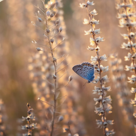 Séance "sur mesure"