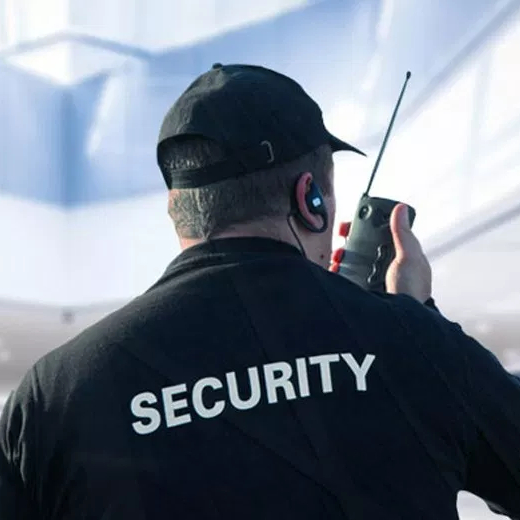 Psicotécnico PSP (Segurança Privado)