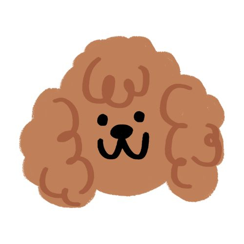 Uszkár (Maci fazon)