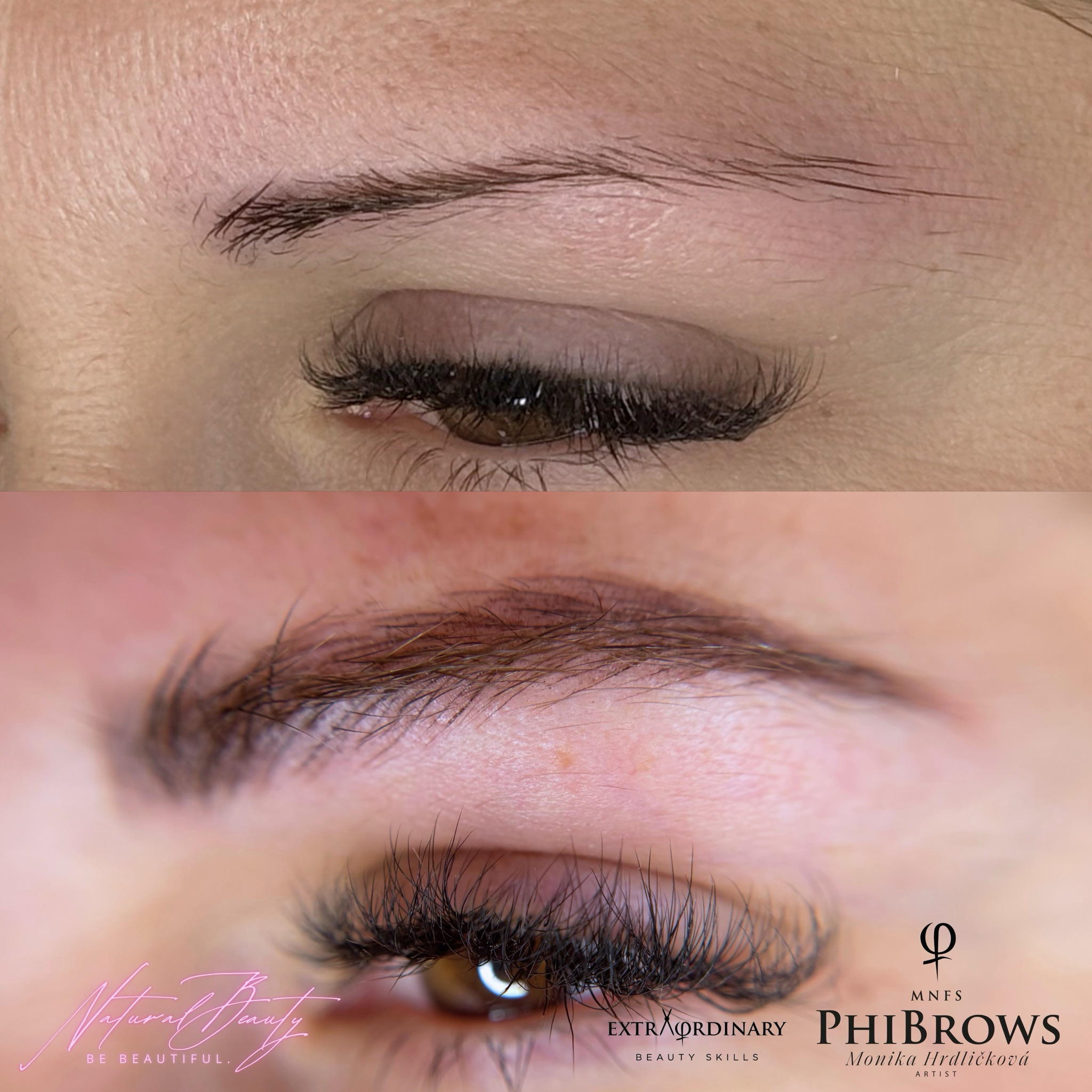 Microblading & PhiShading