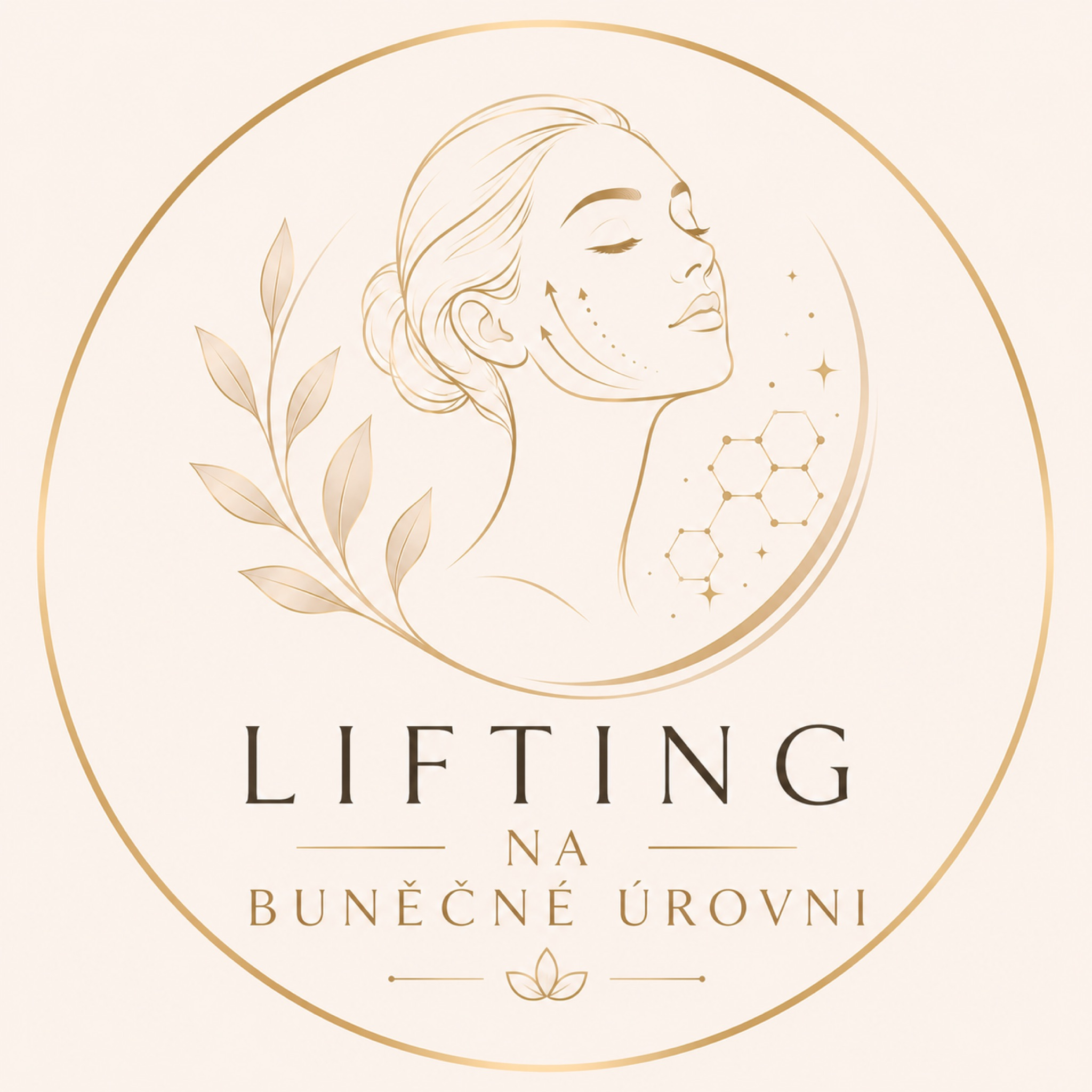 Liftingové ošetření na buněčné úrovni 60 minut