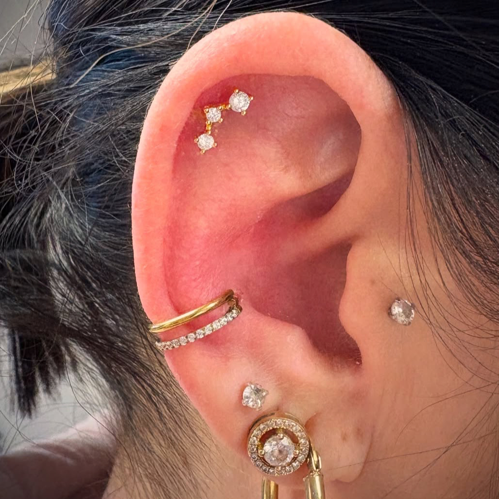 Piercing conch