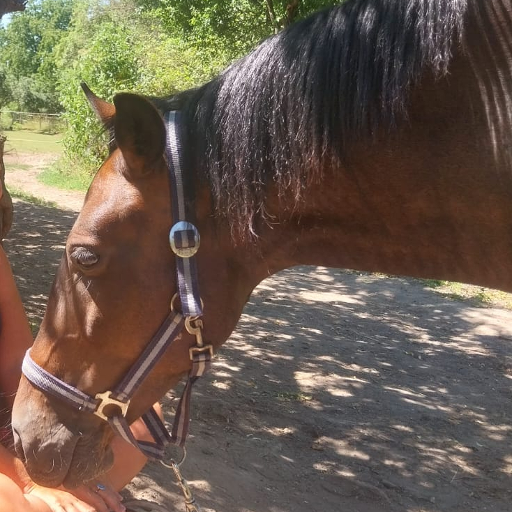 Trenink jednorázový