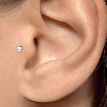 Tragus
