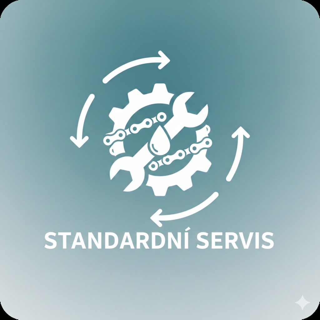 Standardní servis (doporučujeme)