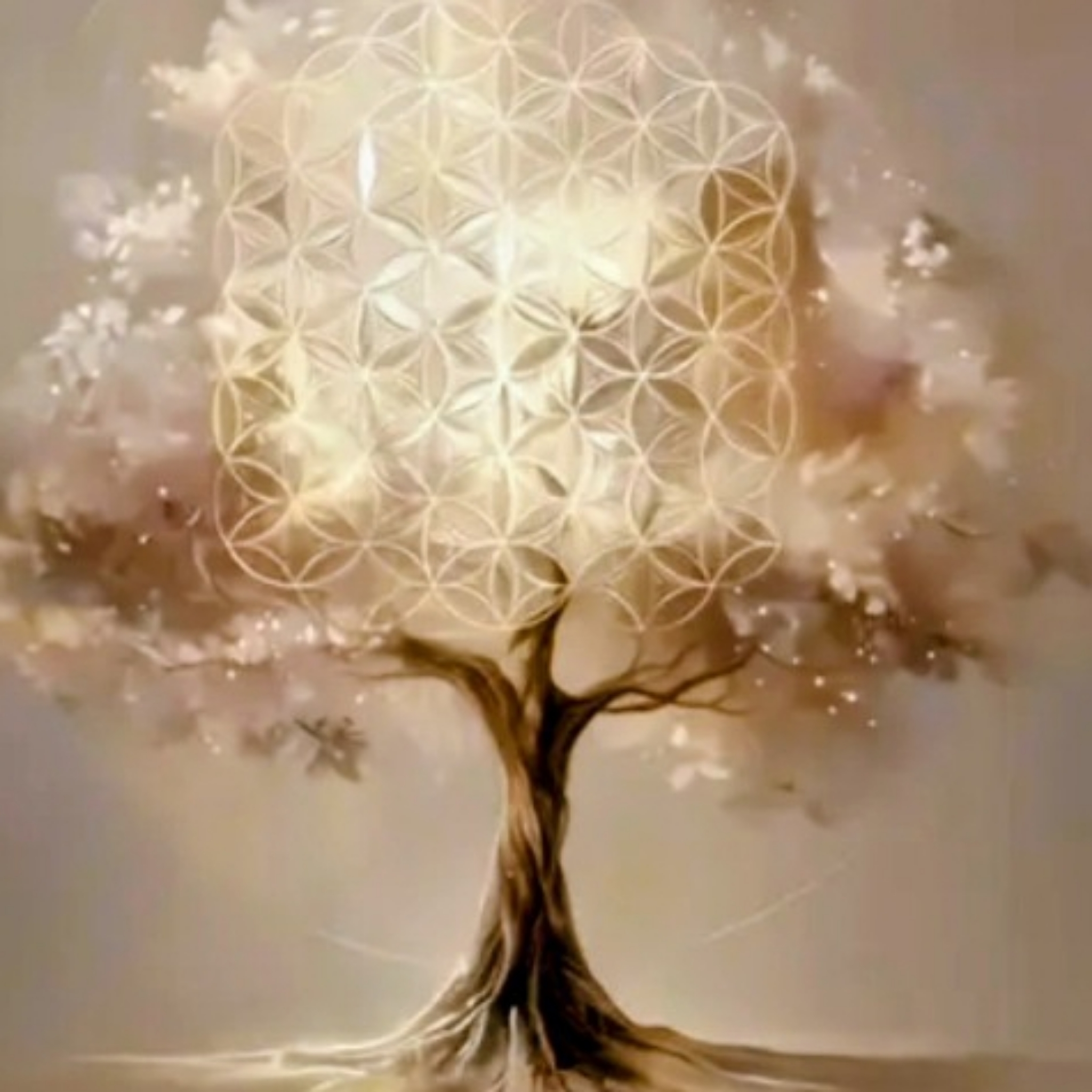 Reiki op afstand 20 minuten