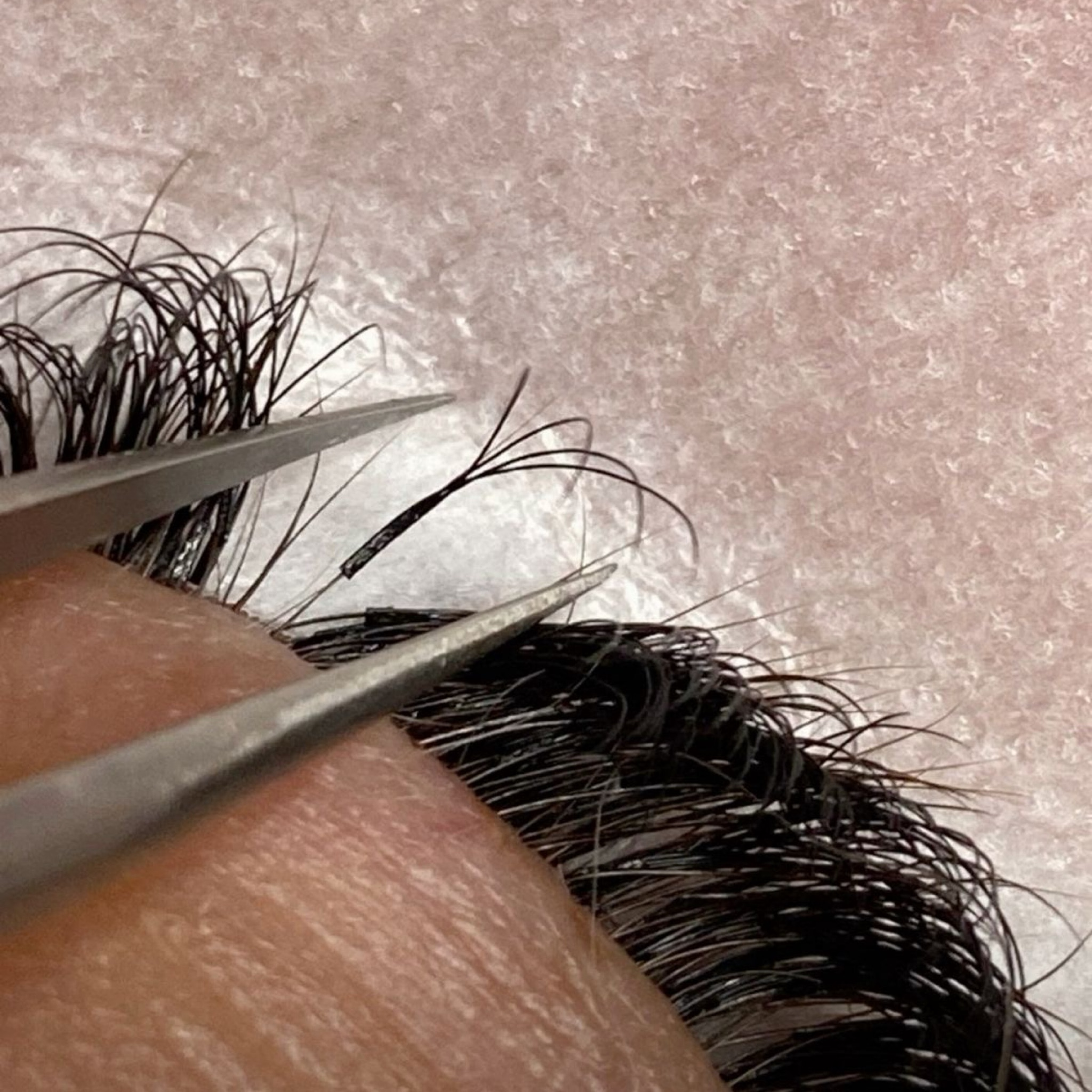 REMPLISSAGE RUSSE/ WISPY -14 JOURS