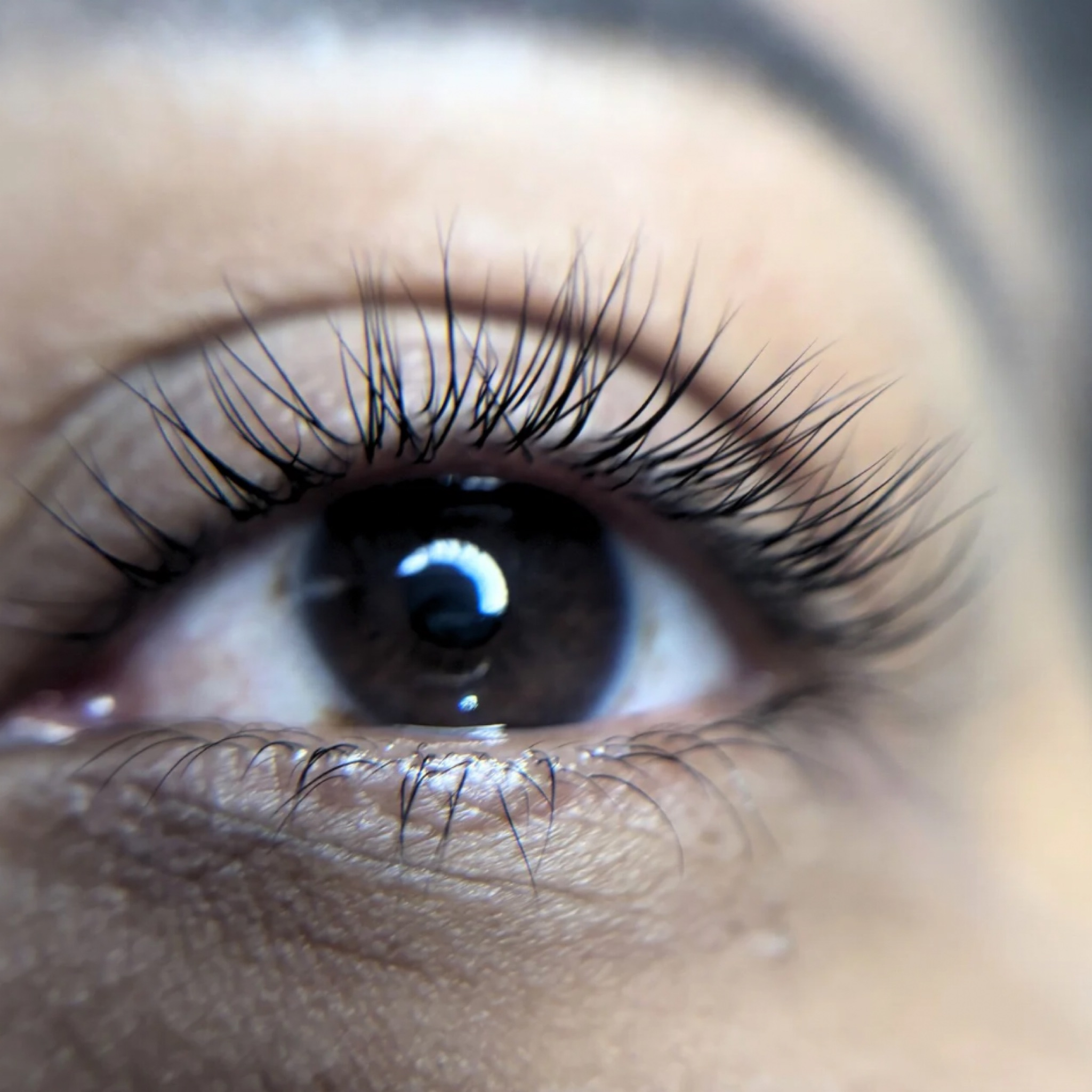 Lash lift sem tintura