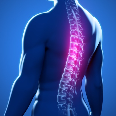 Chirurgo Vertebrale , Ortopedico