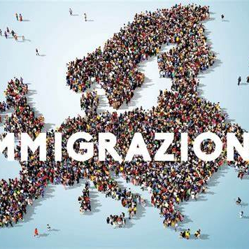 Consulenza in materia di immigrazione