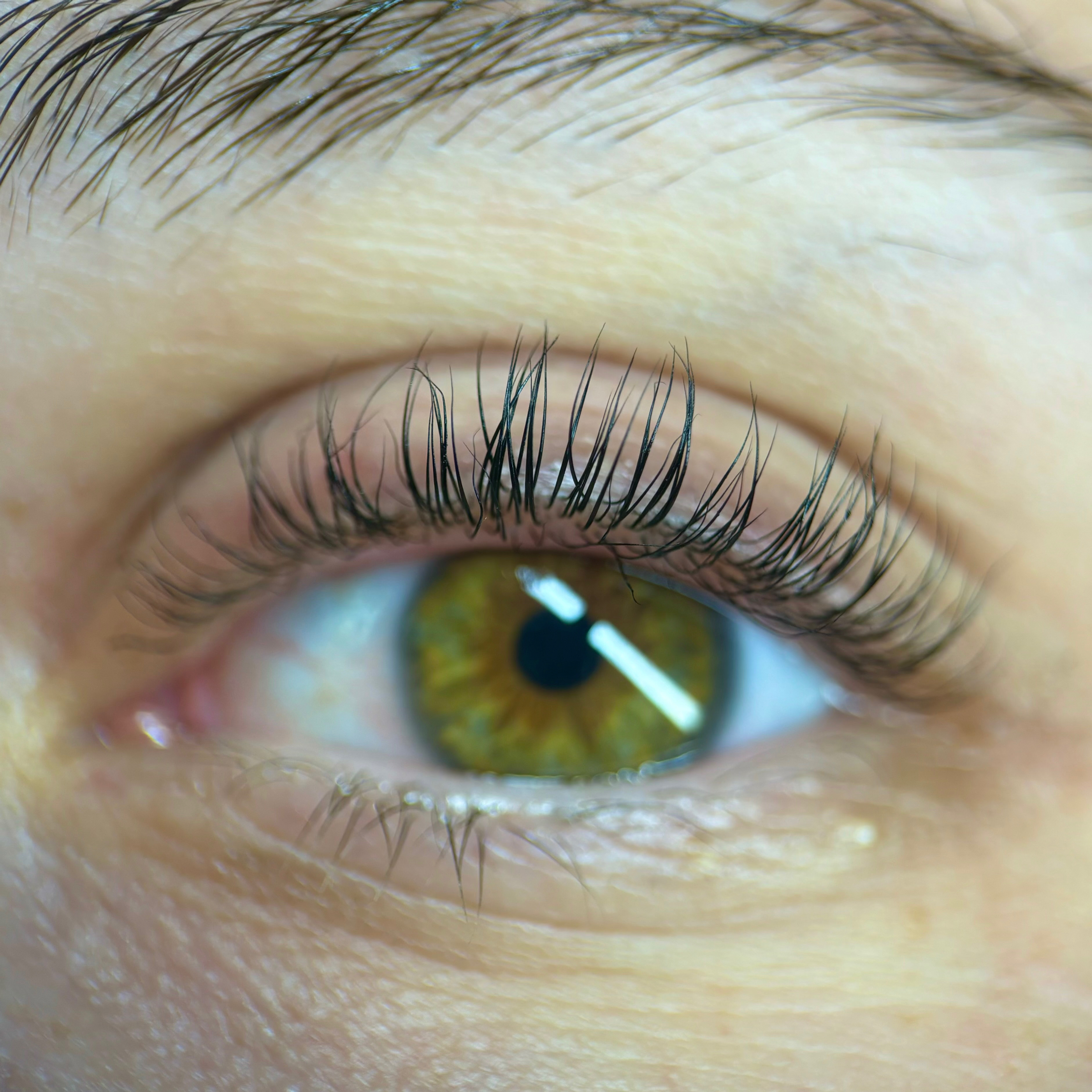 Rehaussement + Teinture + Soin