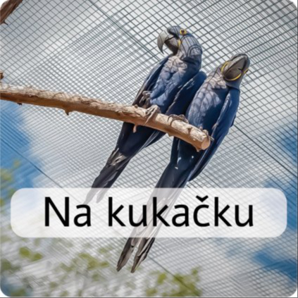 NA KUKAČKU