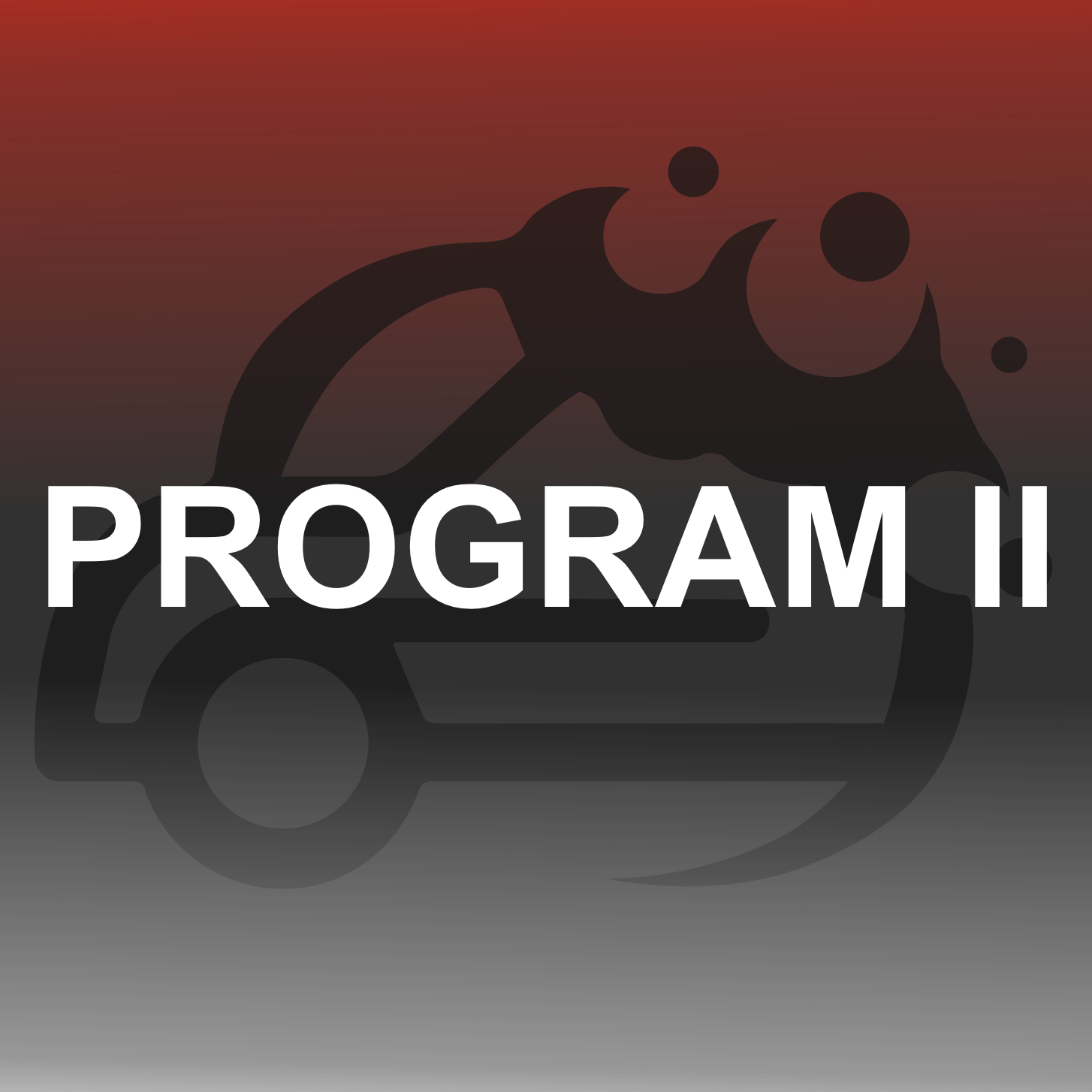 Program č. 2 Kompletní čištění (Mokré čištění/tepování)
