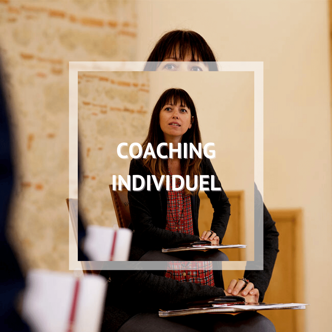 COACHING individuel ANALYSE MORPHO-SILHOUETTE