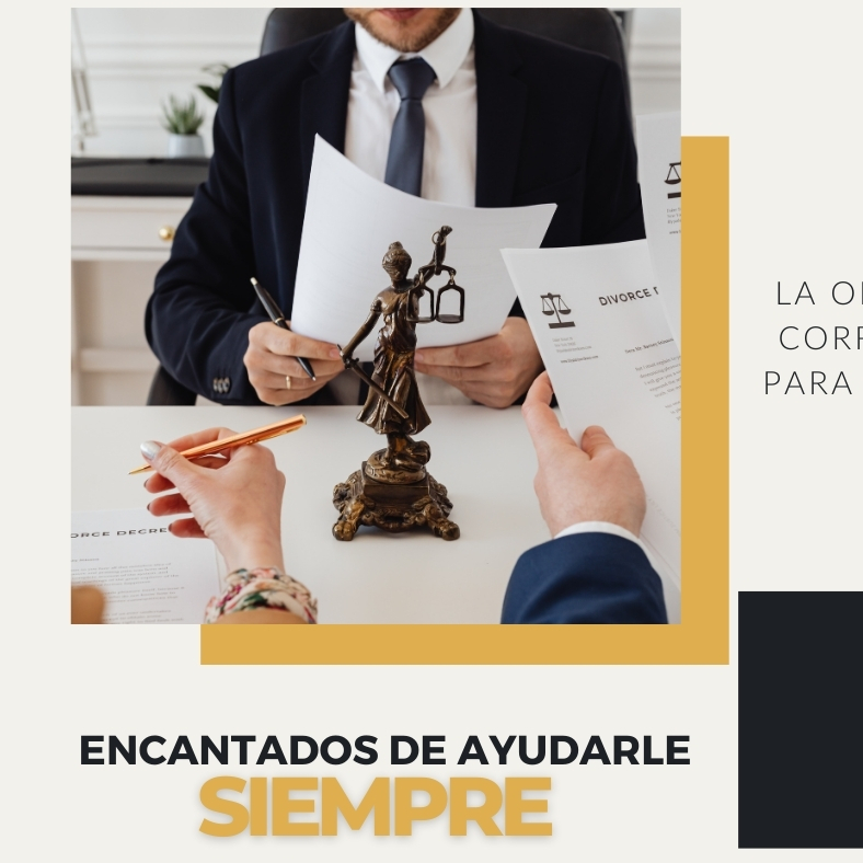 Interes superior de la niñez