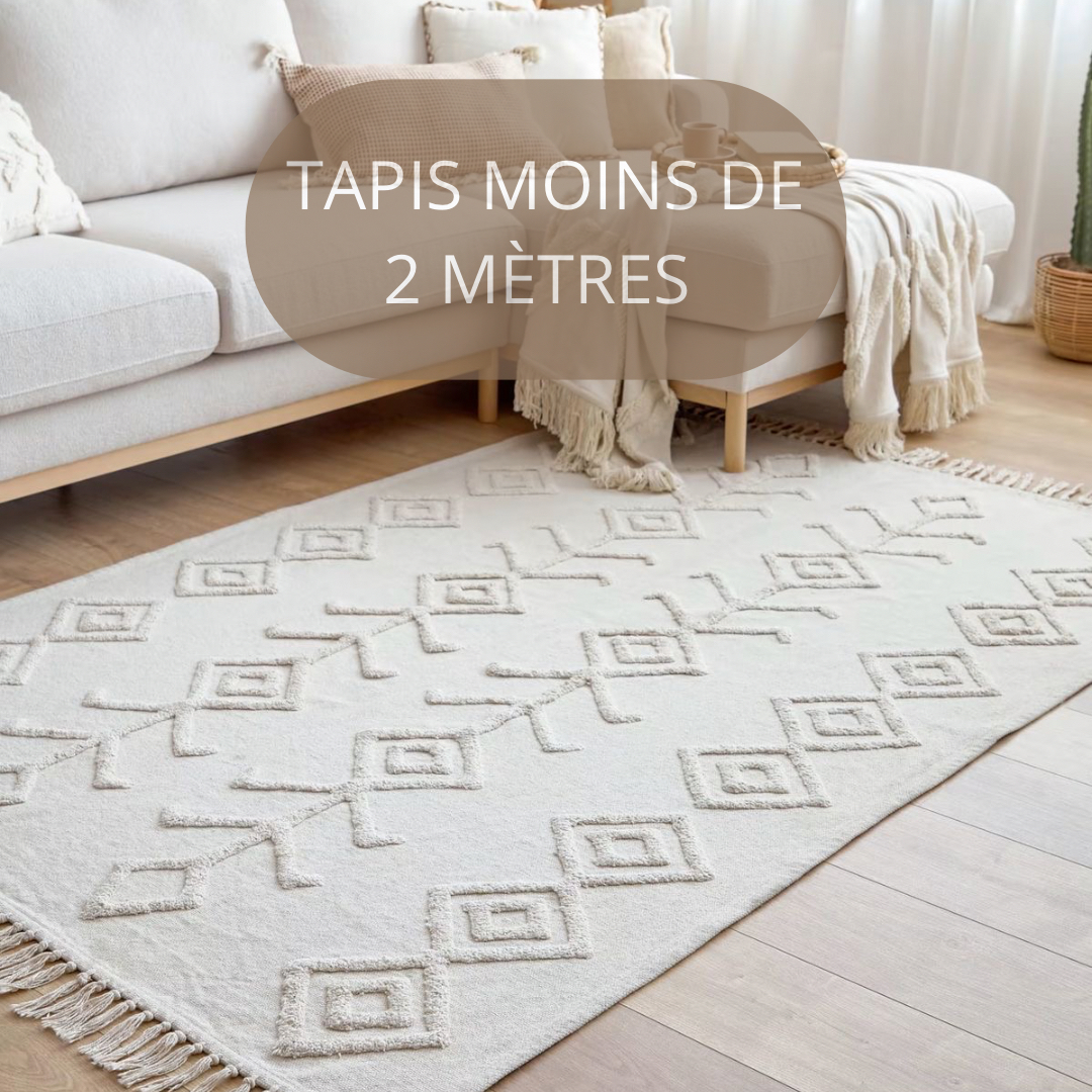 TAPIS -2 MÈTRES(INJECTION/EXTRACTION)