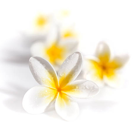 * Échappée Bien Être & Cure * 2h *