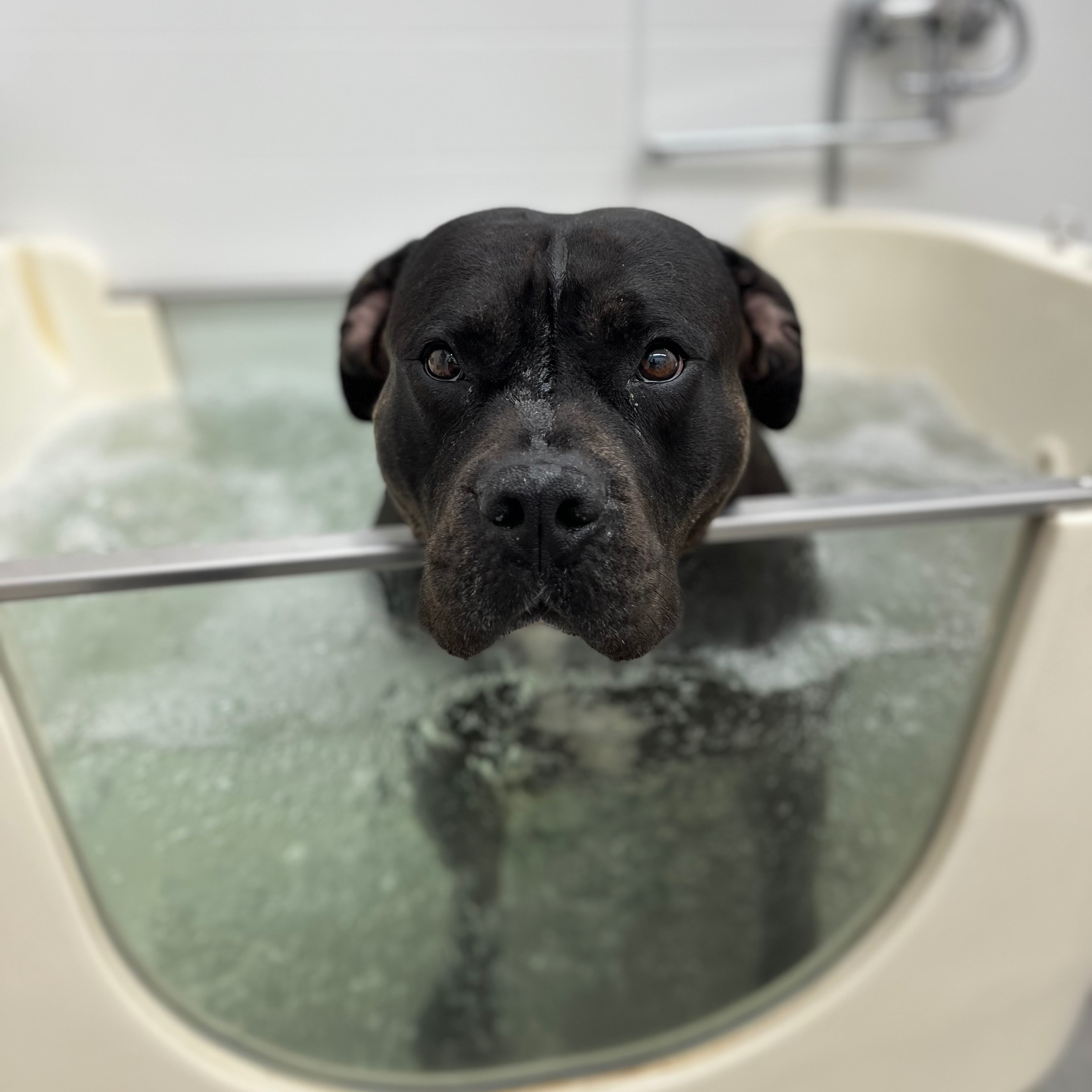 Ozonoterapie/ Ozontherapie - cena od 1490,- / ab 59€