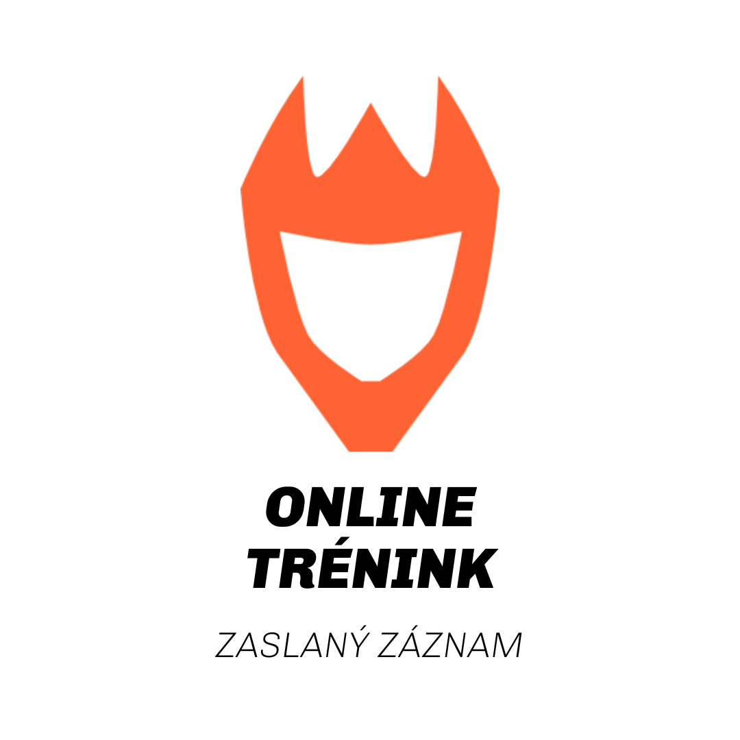 Online trénink (zaslaný záznam)
